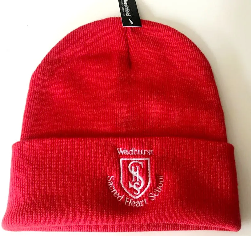 Winter Beanie Hat