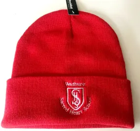 Winter Beanie Hat